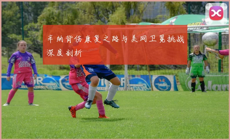 辛纳背伤康复之路与美网卫冕挑战深度剖析
